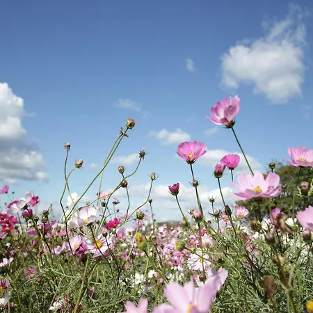 Apartment Lavish In Oberhambach